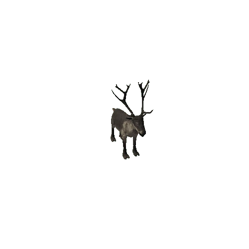 Reindeer_IP_FV_SLP (Fur1)